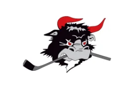 Rødovre Mighty Bulls